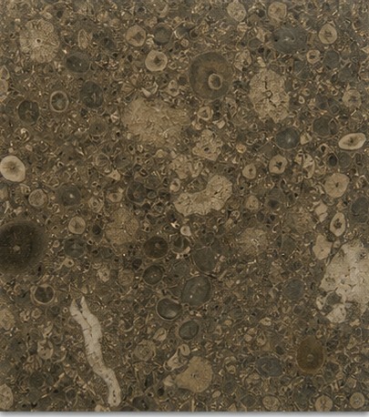 Ochanic Marble - Marble Stone Colour